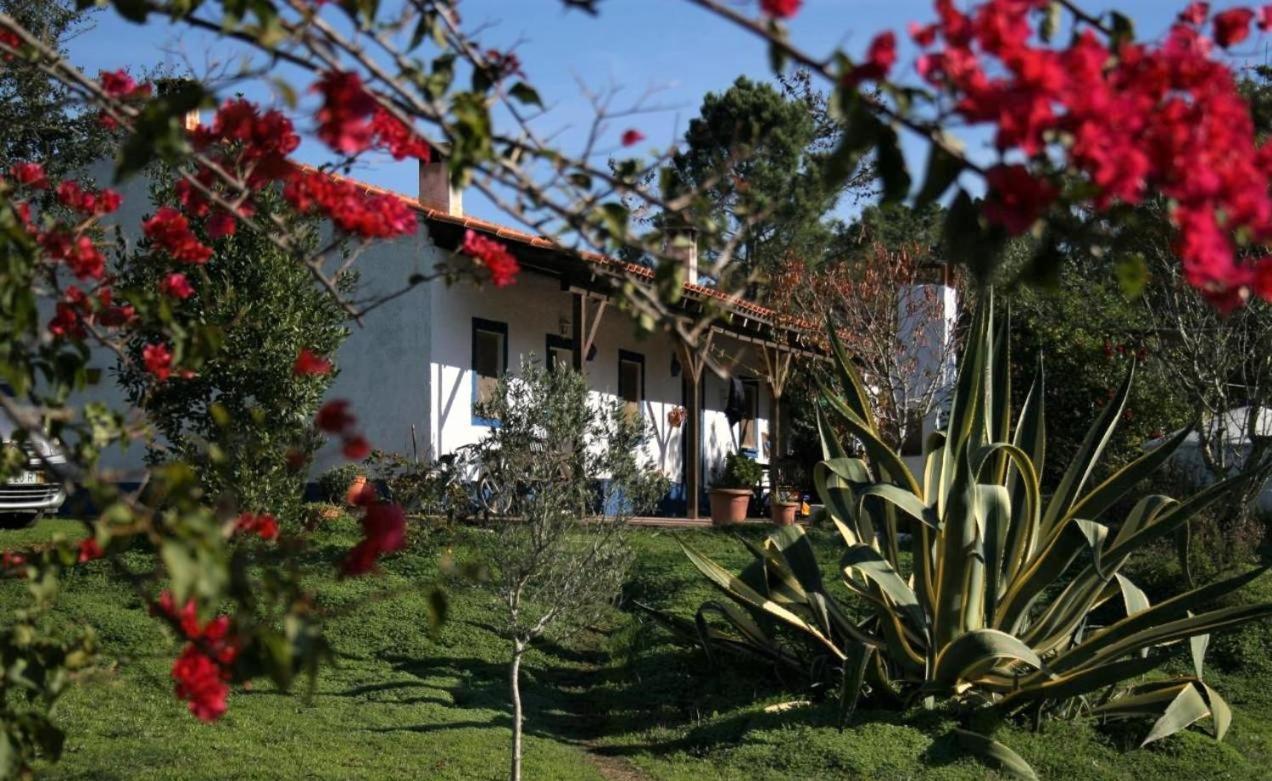 Monte Da Choca Guest House Sao Teotonio Exterior photo